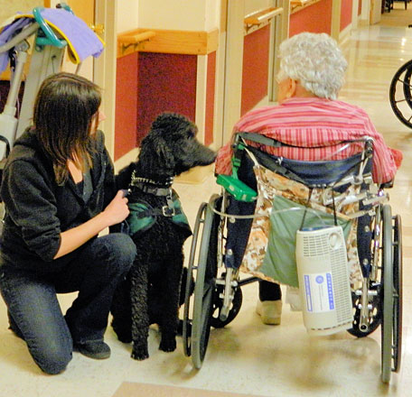 1-chinook-wheelchair