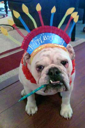 Fergie on her birthday