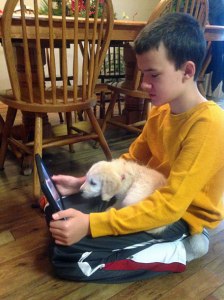 Service dog candidate puppy with Autistic young best friend.