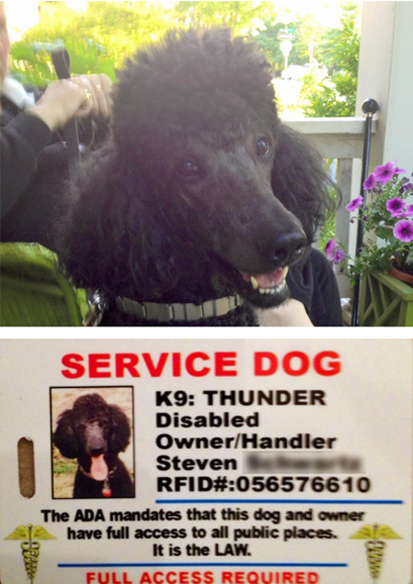 Thunder's ID card
